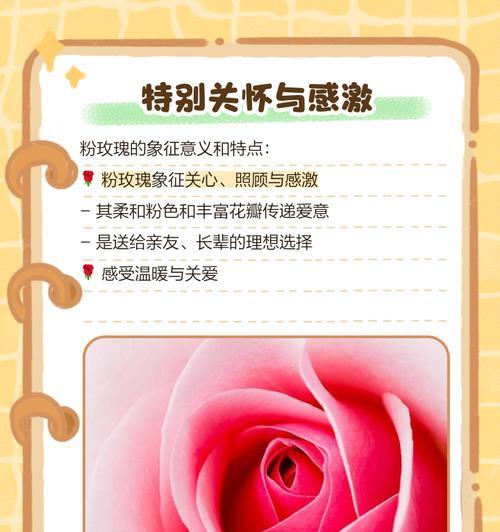 粉玫瑰代表什么含义？粉玫瑰的花语有哪些常见误解？