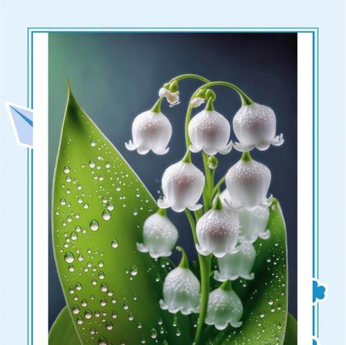 象征着回归寓意的花是什么花？这种花的花语有哪些含义？