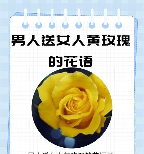 送老公的花有什么寓意和象征？如何选择合适的花表达情感？