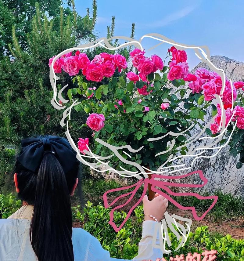 送老公的花有什么寓意和象征？如何选择合适的花表达情感？