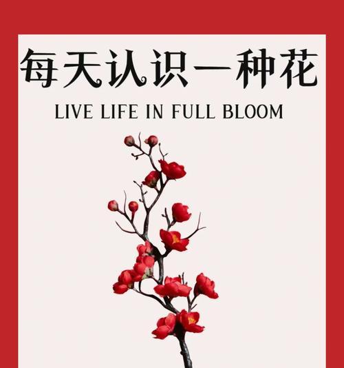 60朵玫瑰花语是什么？如何正确表达爱意？