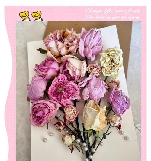 永生花花语是什么？为什么永生花象征着永恒的爱？