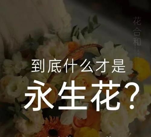 永生花花语是什么？为什么永生花象征着永恒的爱？