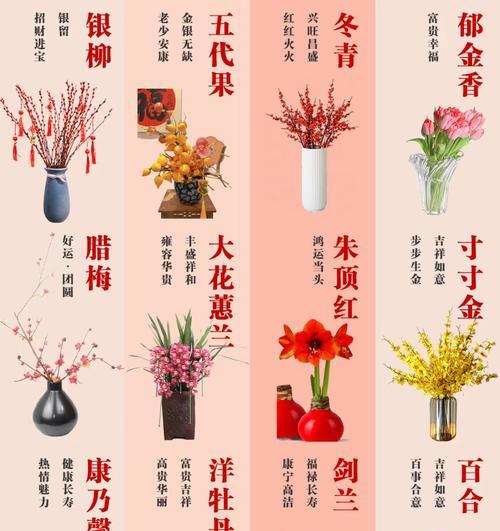送菜的花代表什么？送花时需要注意哪些事项？