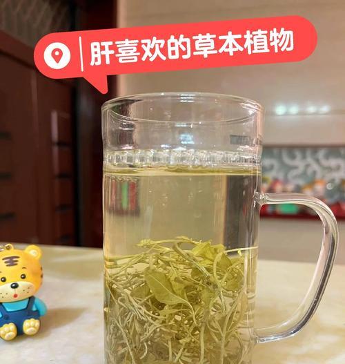 葡萄叶花语是什么？了解其象征意义和用途？