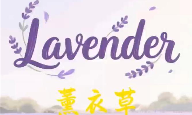 衣草的花语花语是什么？如何正确解读衣草的含义？