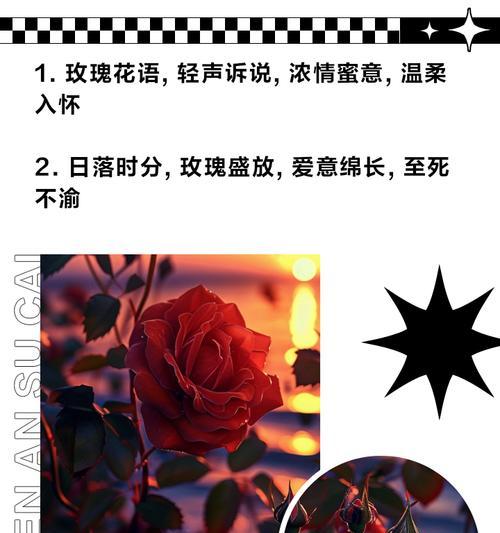 邂逅玫瑰花语是什么？如何解读玫瑰的浪漫含义？