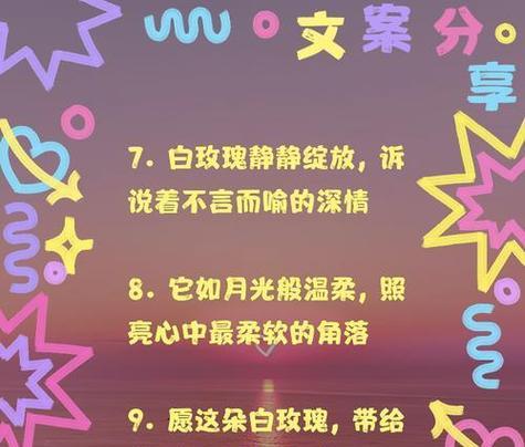 邂逅玫瑰花语是什么？如何解读玫瑰的浪漫含义？