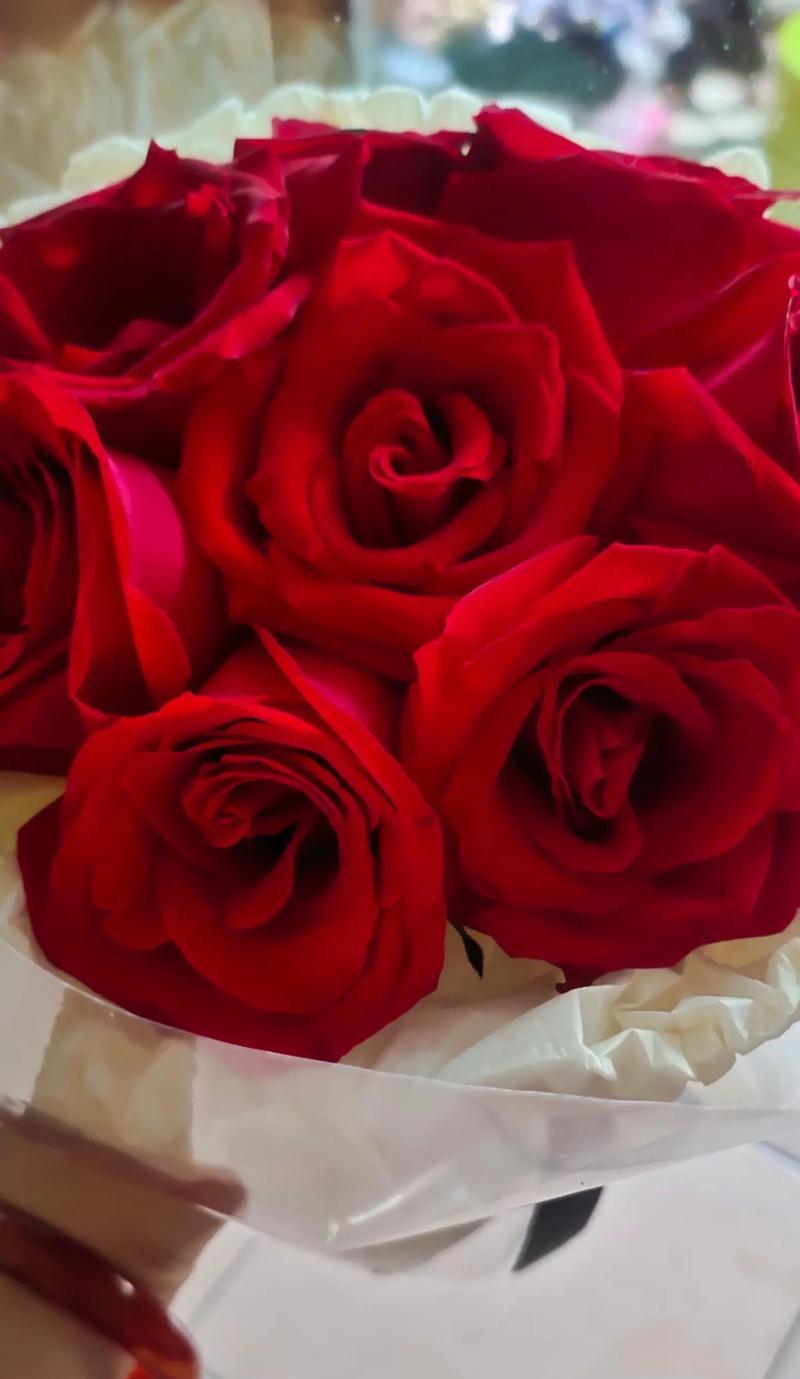玫瑰时装花语是什么？如何挑选代表爱情的玫瑰花束？
