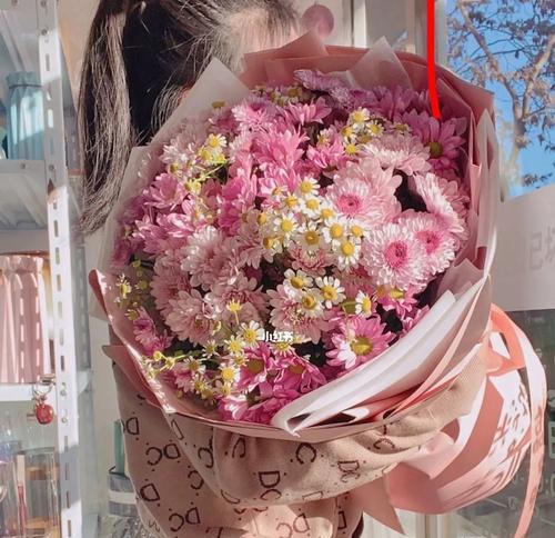 粉色雏菊花语是什么？粉色雏菊代表了哪些含义？