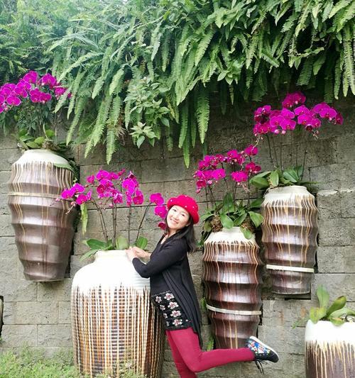 幽谷的芬兰花语是什么？这种花代表了什么含义？