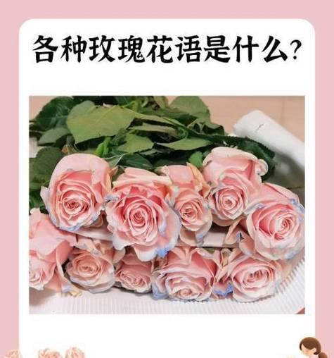 所有的花语是什么？如何解读不同花朵的含义？