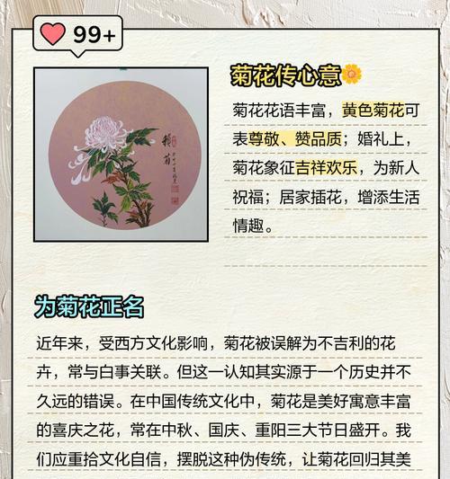 小邹菊花语是什么意思？如何理解小邹菊花的花语含义？