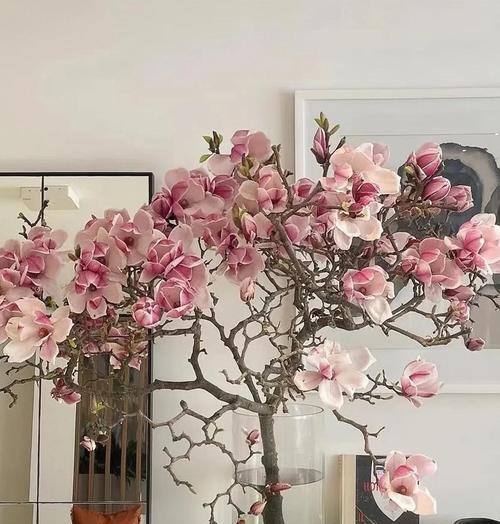 吸水花寓意好的花是什么花？吸水花有哪些吉祥含义？