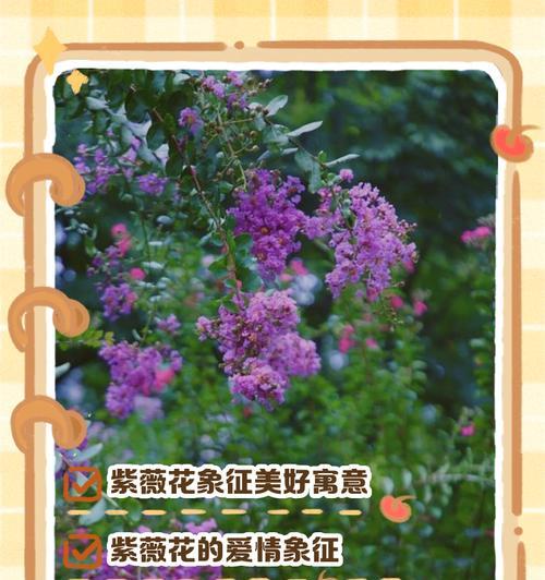 象征自控的花语是什么花？哪种花代表自我控制？