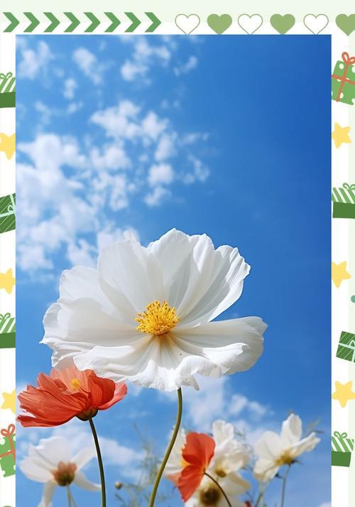 象征自控的花语是什么花？哪种花代表自我控制？
