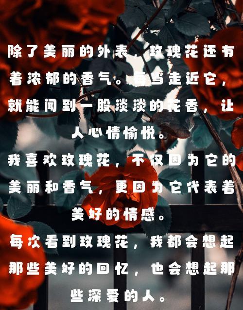 一个花的意义和象征是什么？如何理解花的深层含义？
