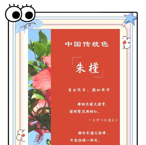 不好的花的寓意和象征是什么？如何正确理解花卉的负面含义？