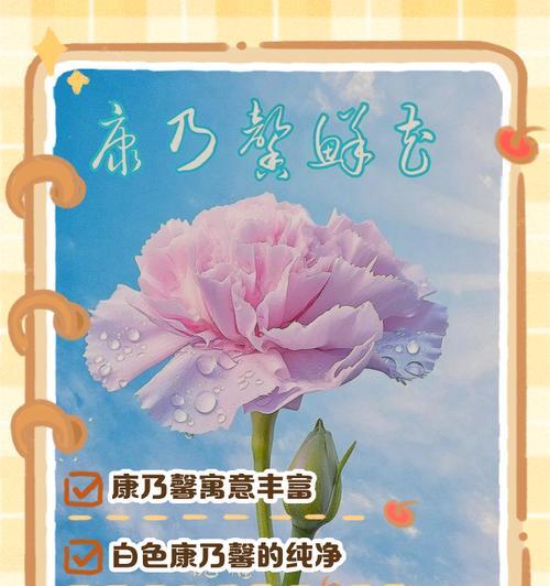 不好的花的寓意和象征是什么？如何正确理解花卉的负面含义？
