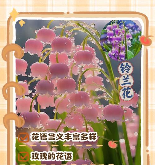 花语是什么？不同花朵的花语含义有哪些？