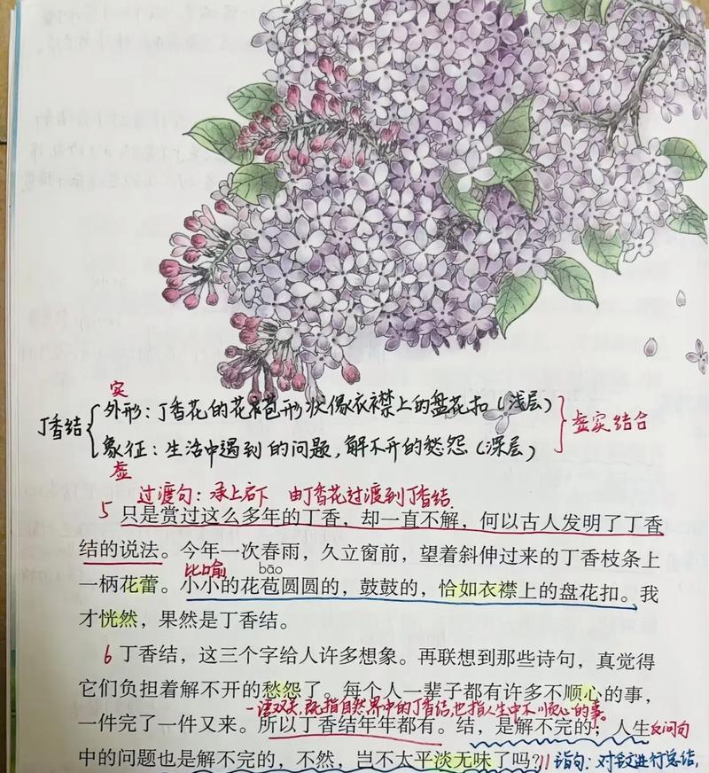 丁香花花语是什么意思？了解丁香花的象征意义和文化背景？