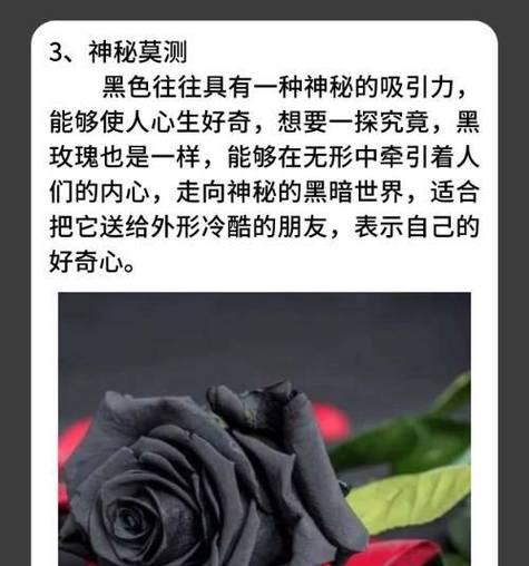 玫瑰的花语是什么？不同颜色和数量的玫瑰代表什么含义？