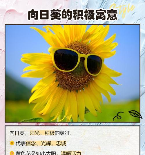 友情长久寓意的花是什么花？如何挑选表达长久友谊的花卉？