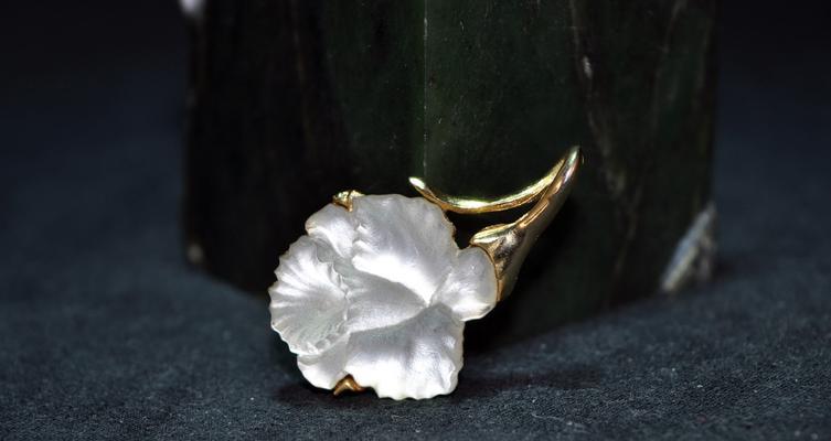 金琉璃花的寓意与象征是什么？如何正确理解金琉璃花的深层含义？