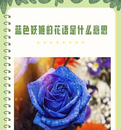 城南的花语是什么？城南地区花卉的象征意义有哪些？