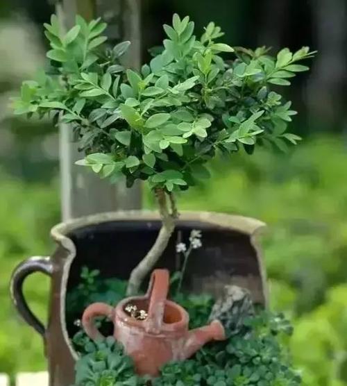 瓦上花的寓意是什么？为何它被认为是吉祥的象征？
