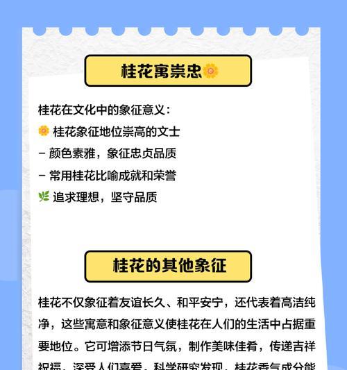 黄瑰的花语是什么？黄瑰代表的含义有哪些？