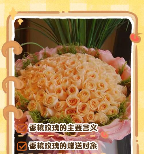 香槟玫瑰花语是什么？如何表达爱意？