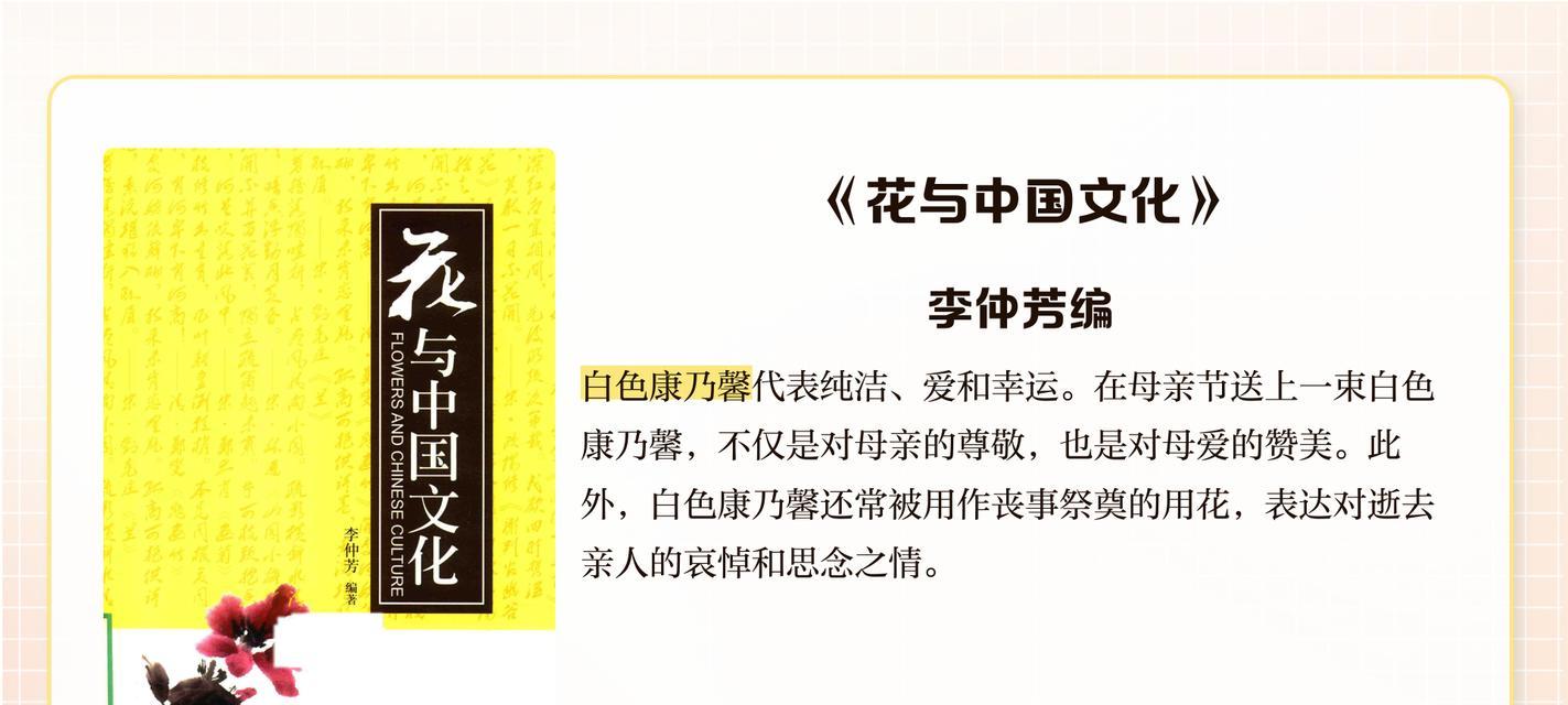 白康乃馨的花语是什么？购买时需要注意哪些事项？