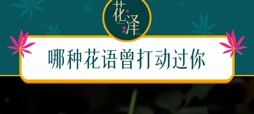追求卓越的花语是什么？如何用花表达对卓越的追求？
