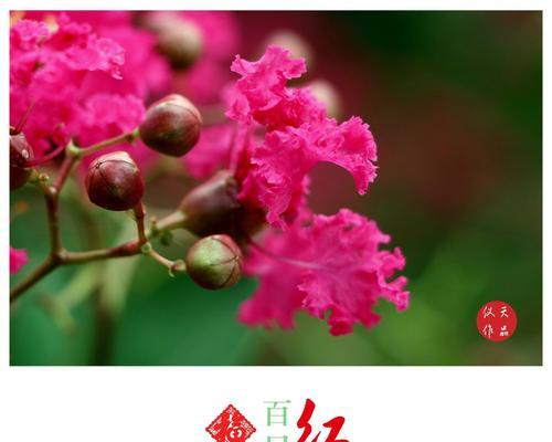 绿色的花的项链代表什么寓意？购买时需要注意什么？