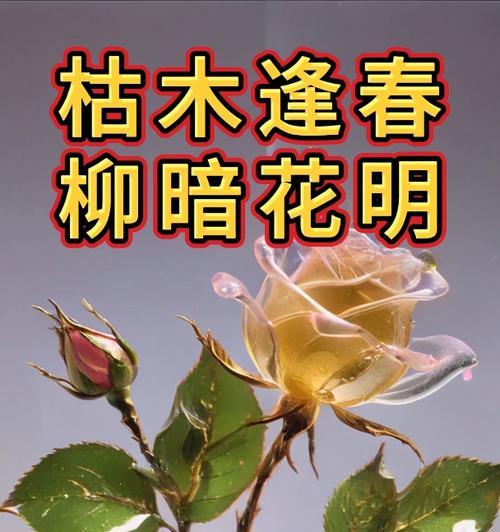 什么花象征着枯木？枯木的花语是什么？