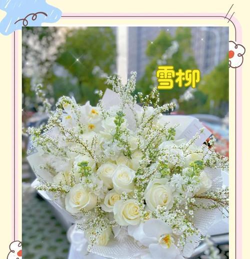 雪柳花语是什么含义？了解雪柳的象征意义和用途？