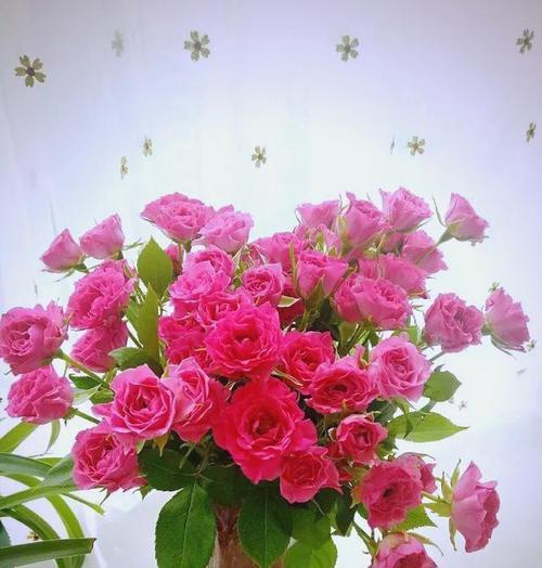 什么花代表童年的爱情？揭秘童年爱情的花卉象征