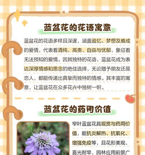 预知的花语是什么？如何解读预知花的含义？