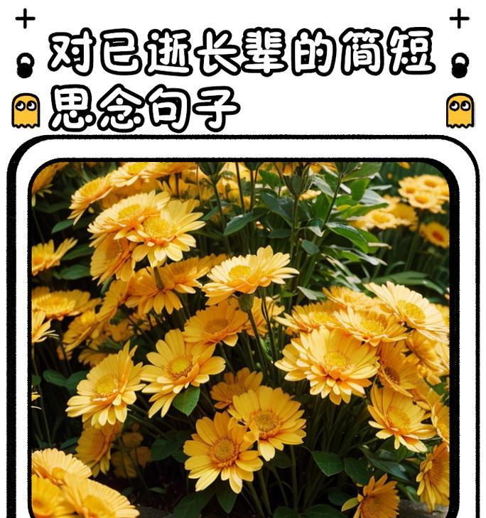 思念的花语是什么花？哪种花代表着深深的思念之情？