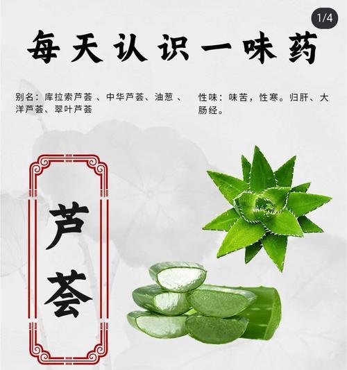 芦荟花语是什么？了解芦荟的象征意义和用途有哪些？
