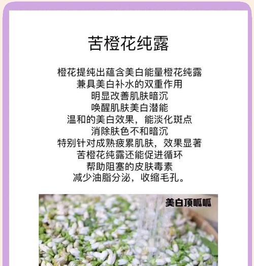 苦橙花的寓意和象征是什么？了解其背后的文化意义？