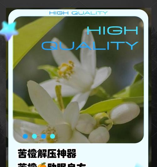 苦橙花的寓意和象征是什么？了解其背后的文化意义？