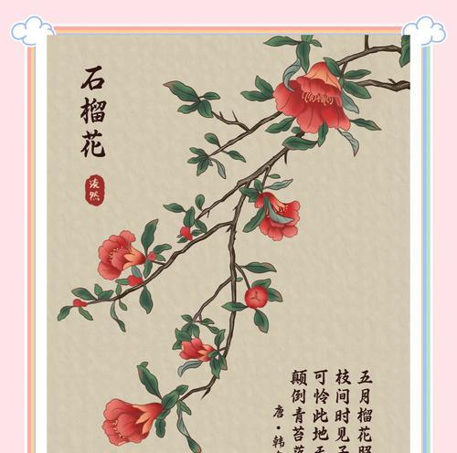 四角星花的寓意和象征是什么？了解其背后的文化意义？