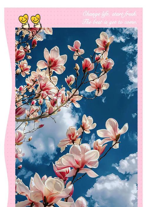成熟的花象征着什么？花语中成熟的意义是什么？