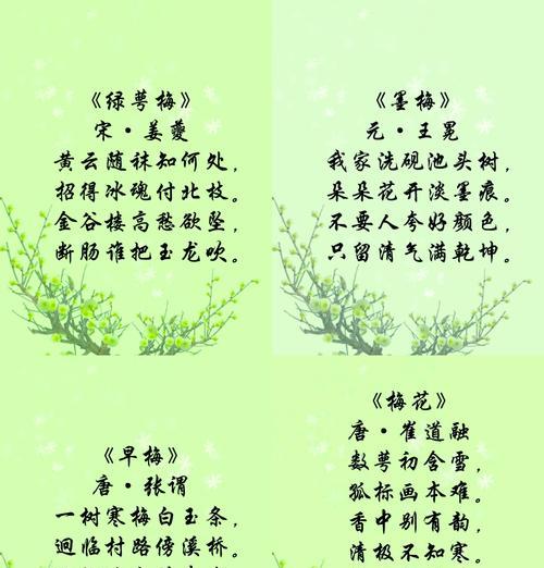 梅花的花语是什么？梅花象征着什么含义？
