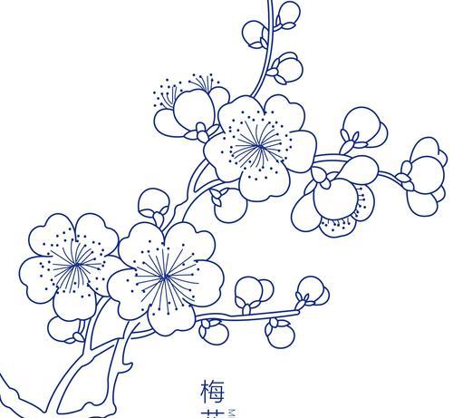 梅花的花语是什么？梅花象征着什么含义？