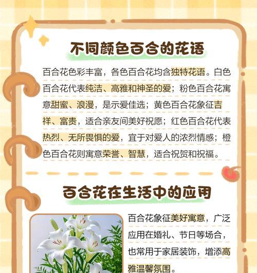 百合花象征着什么？百合花的寓意有哪些常见问题？