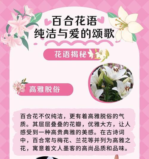 百合花象征着什么？百合花的寓意有哪些常见问题？
