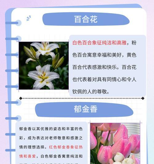 迎客来花的寓意象征是什么？如何正确理解其含义？